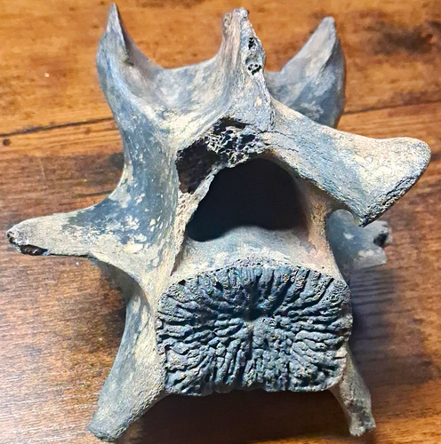 Prehistoric ice age - ice, large
