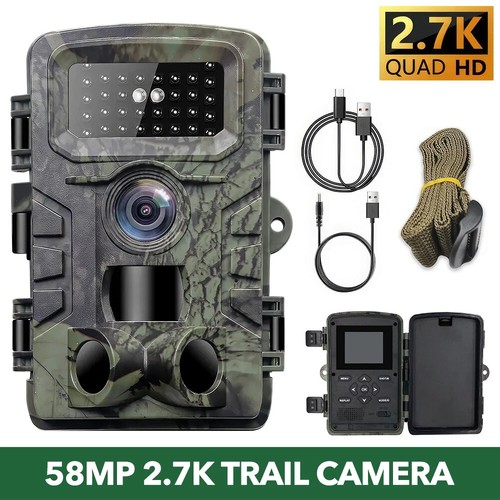 58mp wildlife trail - wildlife,