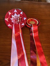 Two Champion Horse Rosettes