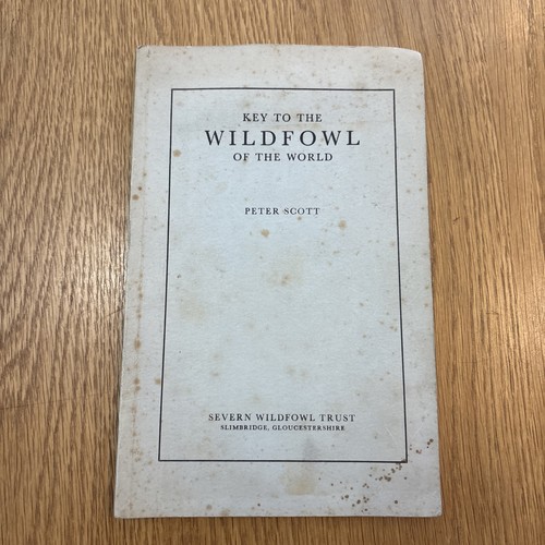 Key the wildfowl - the,