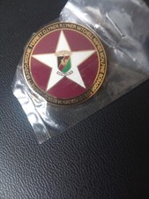 NEW GLENTORAN FC PIN BADGE, TITANIC MEMORIAL.