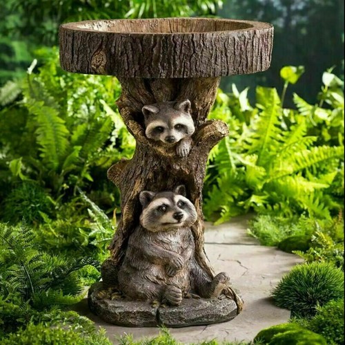 New bird bath - &, feeder