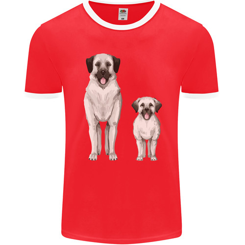 Anatolian shepherd dog and - dog,
