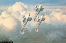 Fighter Bi-Plane aircraft Aviation art Print Hawker Fury 41 Squadron RAF