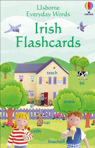 Everyday words irish - words,