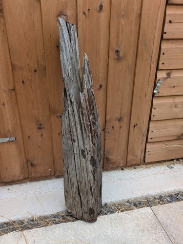 Driftwood stick for art - stick, craft