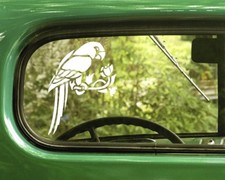 2 PARROT BIRD DECAL Stickers