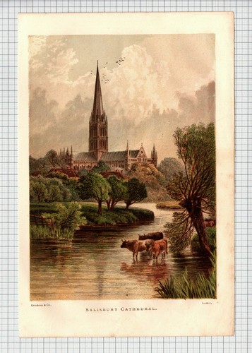 Salisbury cathedral - (6155),