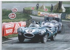 Mike Hawthorn Le Mans 1955 art print