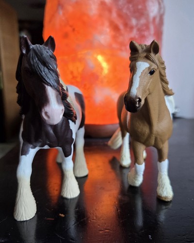 Schleich cob type - cob, horse