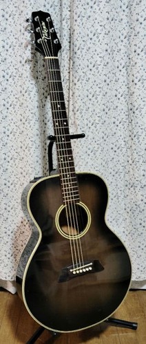 Takamine 105 acoustic - takamine, pt-105