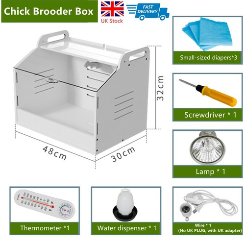 Chick brooder box rearing - brooder,