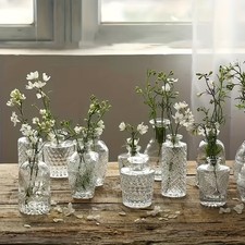 12pcs Glass Bud Mini Vases