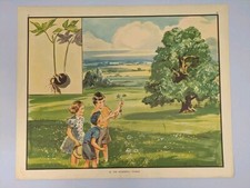Enid Blyton Nature Plates Poster 53 The Wonderful Conker Vintage Education...