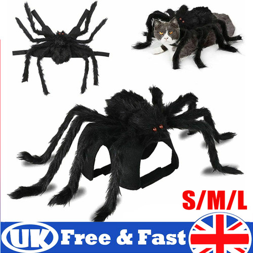 Halloween pet spider costume - halloween,