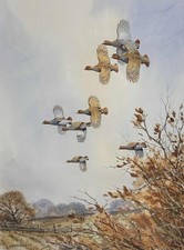 Contemporary Countryside