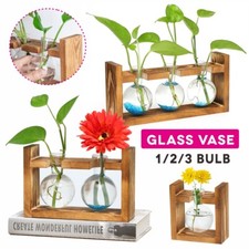 Plant Propagation Station Desktop Bulb Glass Vase With Wooden Stand Hydroponics