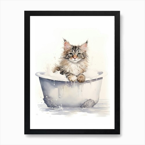 Maine coon cat bathtub - coon, in