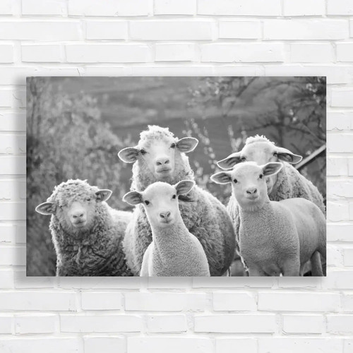 Sheep within mob - within,