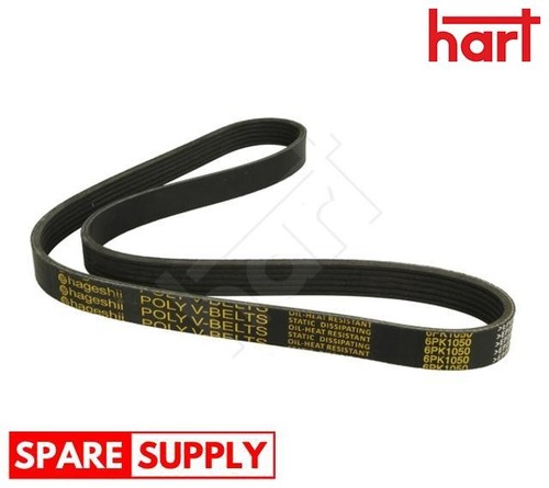 Ribbed belt for - v-ribbed, vw