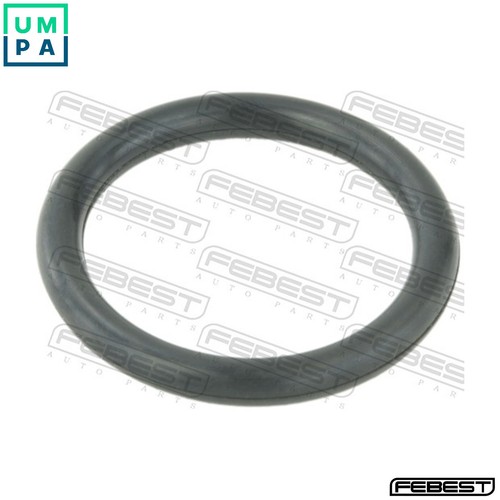Gasket coolant flange - gasket,