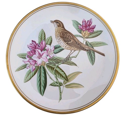 Spode bone china - spode, plate