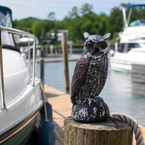Solar owl bird repellent - solar, decoy