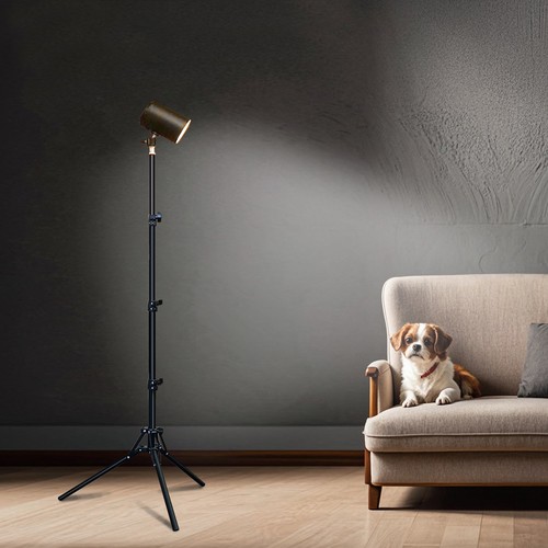Adjustable standard floor lamp - standard,