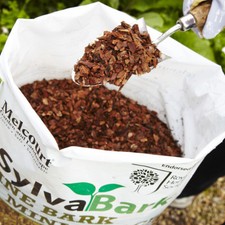 Pine Bark Mini Mulch | 50L | Melcourt SylvaBark | RHS-Endorsed