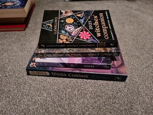 Witchcraft books pagan - 4,