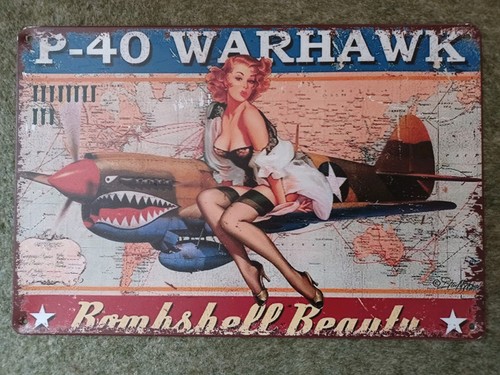 Vintage style metal sign ww2 - ,