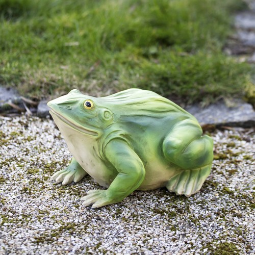 Green grazing frog garden - grazing,