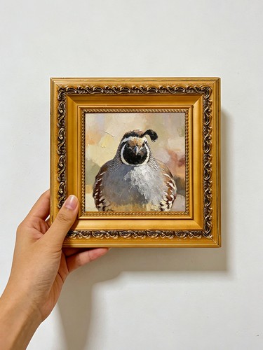 California quail portrait wall - portrait,
