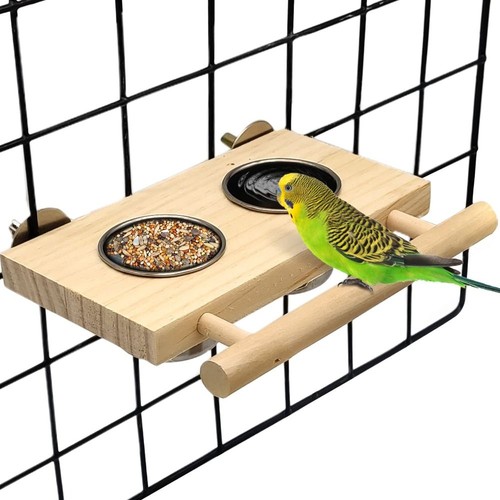 Bird feeding dish cups - feeding,