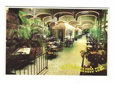 Chattanooga Choo-Choo Palm