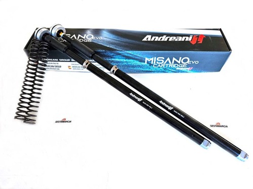 Andreani misano evo2 - misano, fork