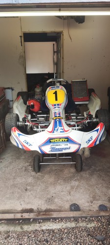 Racing kart petrol - racing,