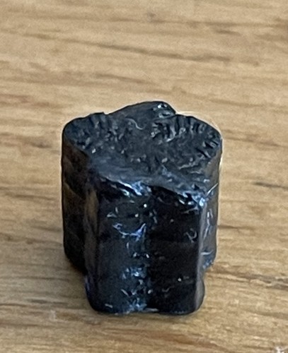Crinoid star stem fossil - stem, lower