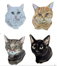 4 x Cat Magnets - Cat Fridge