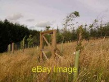 Photo 6x4 Pheasant rearing pen