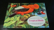 RARE BIRDS BROOKE BOND TROPICAL BIRDS EMPTY ALBUM 1974 **NO PRICE** RARE