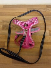   Dog Harness, Metal Buckle Strong, Safe, Padded, Comfortable, Adjustable (G)