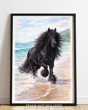 Gypsy black beauty horse A4