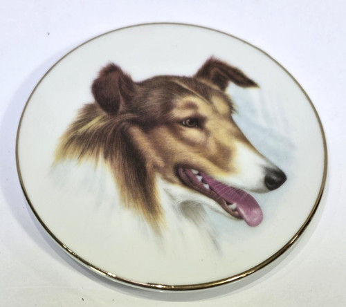 Vintage collie dog - vintage,