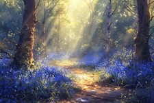 BLUEBELL WOODLAND CANVAS