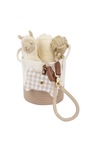 Welcome home pet - home, bundle
