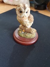 Birds By Russell Willis Tawny Owl Border Fine Arts