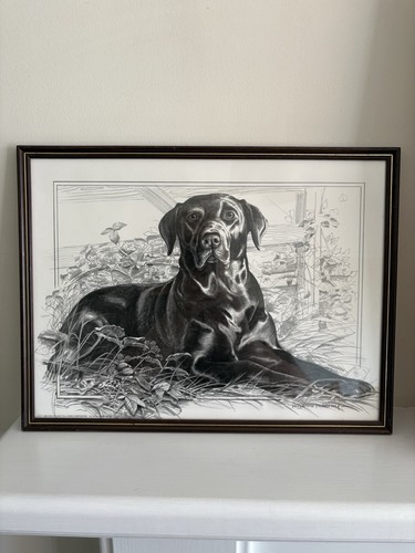 Pollyanna pickering vintage - pickering,