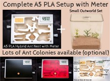 Ant Farm Hybrid Ants Nest Formicarium Housing Complete Setup A5 Best Ants UK