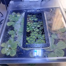 Lid Feed Cover For Fluval Spec 3 5 10L 19L Nano Plant Betta Aquarium fish tank